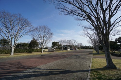 長生村尼ケ台総合公園の画像1