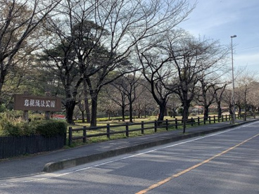 岩槻城址公園の画像1