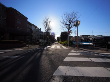 田柄川緑道の画像1