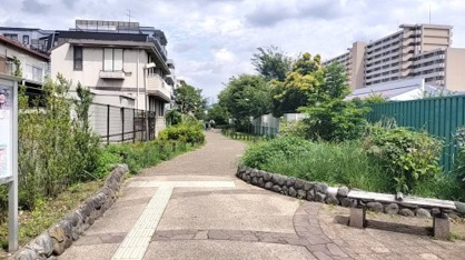 田柄川緑道の画像2