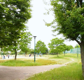 巽東緑地の画像1