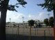 星が丘小学校の画像