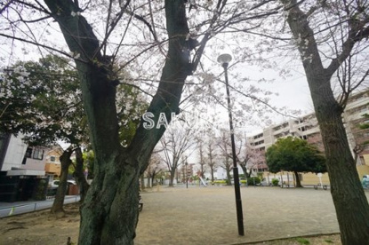 富家町公園の画像1