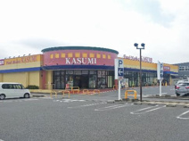 カスミ平須店