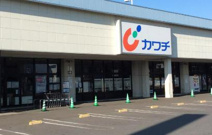 カワチ薬品浜田店