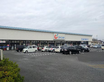カワチ薬品赤塚店の画像1