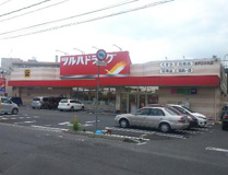 ツルハドラッグ水戸三の丸店