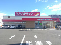 ドラッグストア ツルハドラッグ水戸千波西店
