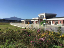 りんりん保育園