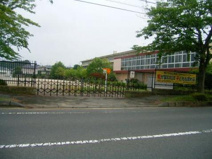 南小学校