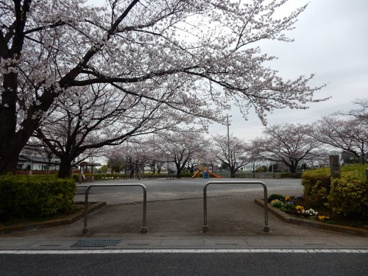 上ノ前公園の画像1