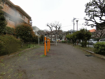 砧五丁目北公園の画像1