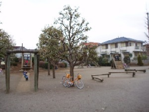 ひばりが丘北わんぱく公園の画像1