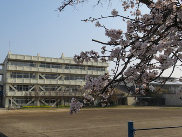 野田市立木間ケ瀬小学校の画像1
