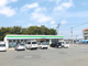 ファミリーマート 茅ケ崎中島店の画像