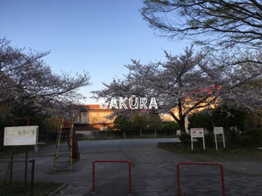 木月住吉南公園の画像1