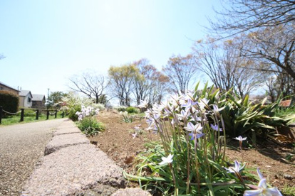 砂川公園の画像1