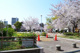 内代公園の画像