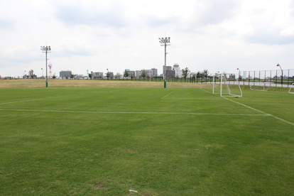 葛飾区 東金町運動場多目的広場の画像1
