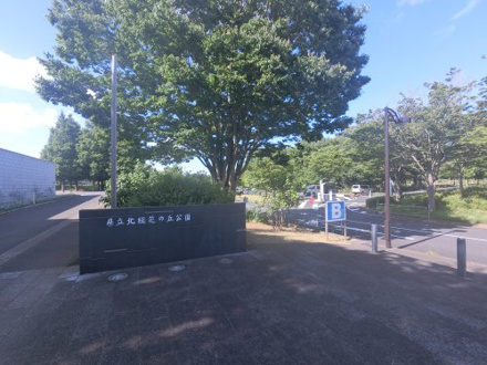千葉県立 北総花の丘公園