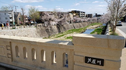 開森橋の画像1