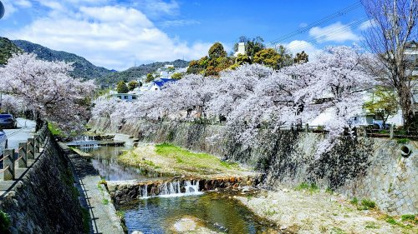 芦屋川の画像1