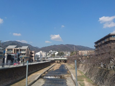芦屋川の画像2