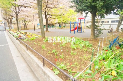 芦穂崎公園の画像1