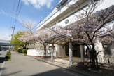 中学校 神戸市立魚崎中学校