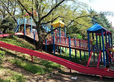 福生公園の画像1