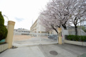 神戸市西灘小学校