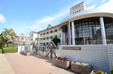 小学校 神戸市立向洋小学校