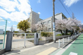 小学校 神戸市立御影小学校