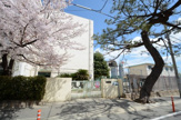 中学校 神戸市立御影中学校