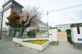 神戸市立原田中学校