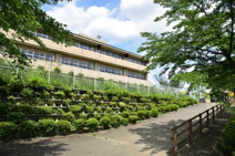 飯能市立美杉台小学校