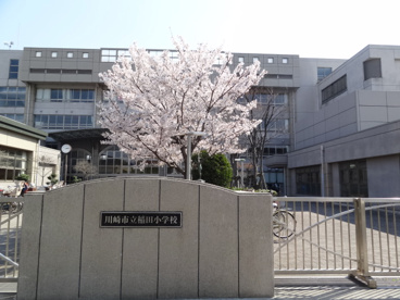 川崎市立稲田小学校の画像1