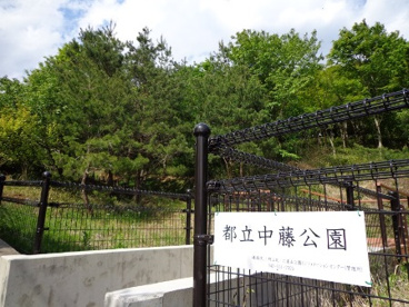 東京都立中藤公園の画像1