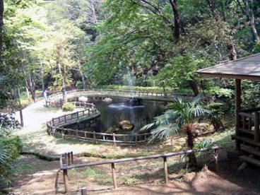 獅子ヶ谷市民の森の画像1