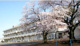 古河市立八俣小学校の画像