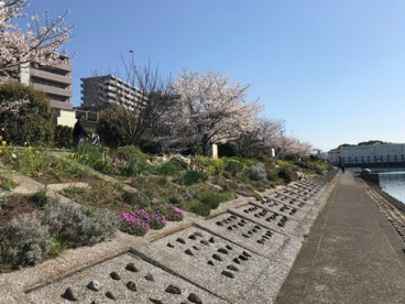 しながわ花海道水辺広場の画像5