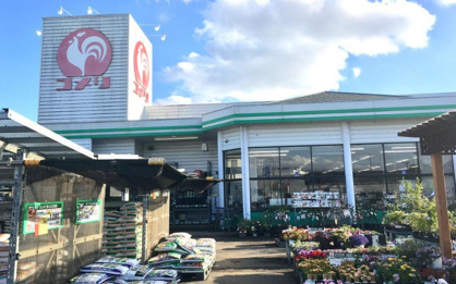 コメリハード グリーン 総和店情報ページ 野田市の新築 中古戸建てはひだまりハウス