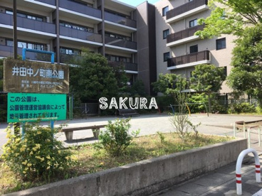 井田中ノ町南公園の画像1