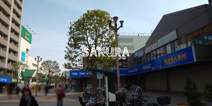 ハックドラッグ瀬谷駅北口店