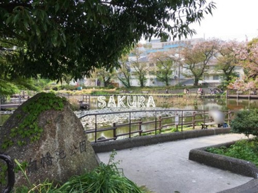 白幡池公園の画像1