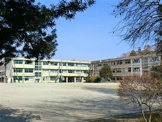 松戸市立八ケ崎小学校