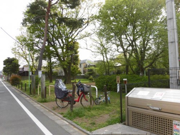 田中山憩いの森の画像1