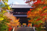 南禅寺