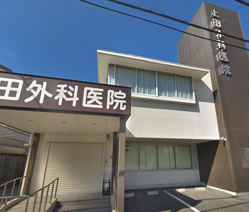 の画像