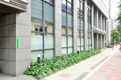 私立損保ジャパン日本興亜スマイルキッズ江戸川橋保育園の画像1
